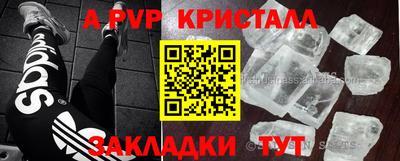 прущие грибы Волгодонск