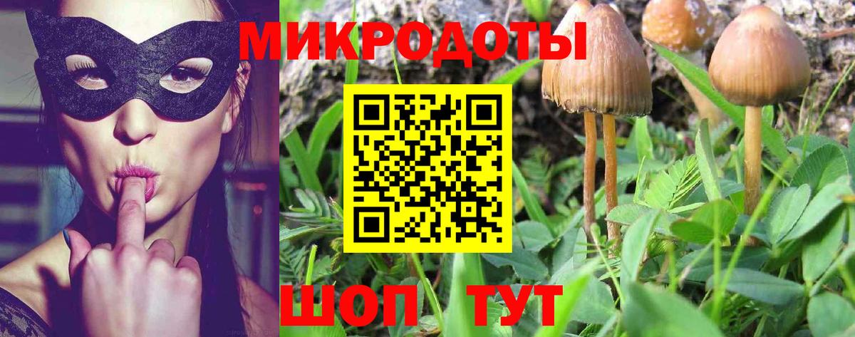 Татарск  Псилоцибиновые грибы Magic Shrooms  что такое   Вход с VPN  Псилоцибиновые грибы MAGIC MUSHROOMS 